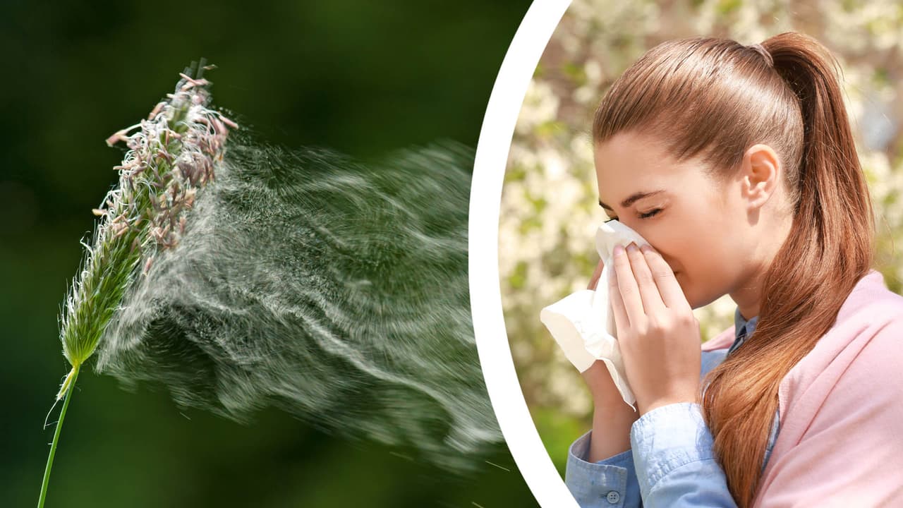 Nivel de polen en Atlanta alcanza una concentración “extremadamente alta” por primera vez en el 2023 