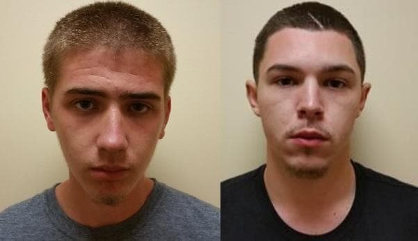 Dos detenidos por robo y crueldad animal