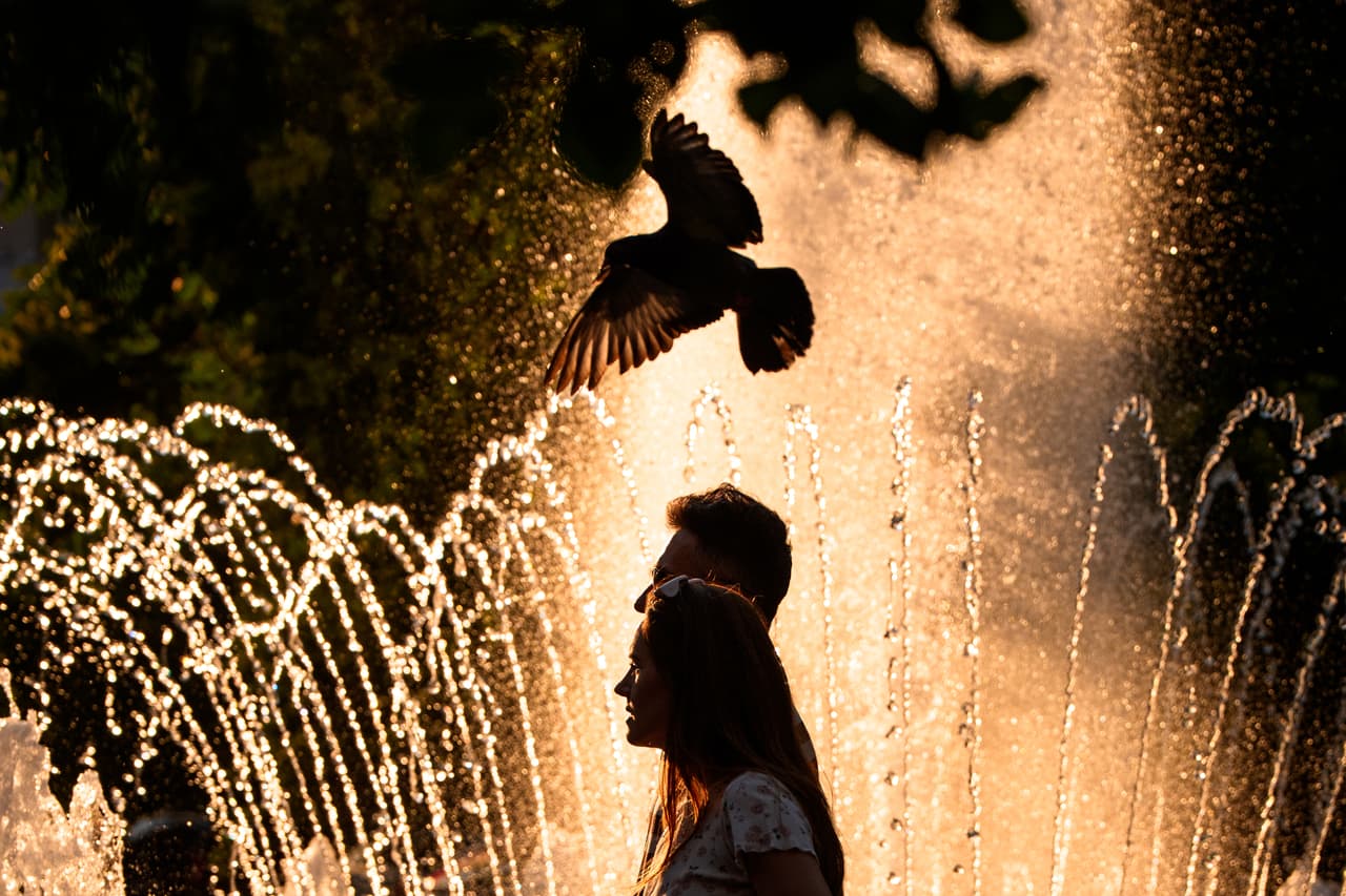 En total, España y Francia suman al menos 1,300 muertes relacionadas con esta ola de calor, de acuerdo con los balances oficiales disponibles hasta este domingo.