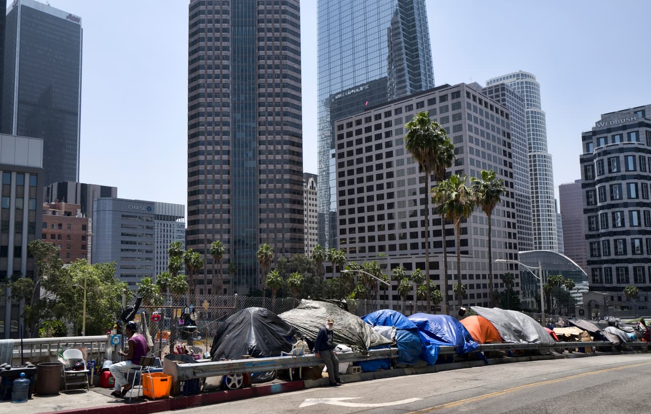 La ciudad de Los Ángeles es reconocida por su diversidad cultural, sin embargo y de acuerdo con estadísticas del estado, las grades diferencias socioeconómicas también está presente en la gran ciudad de la coesta oeste.