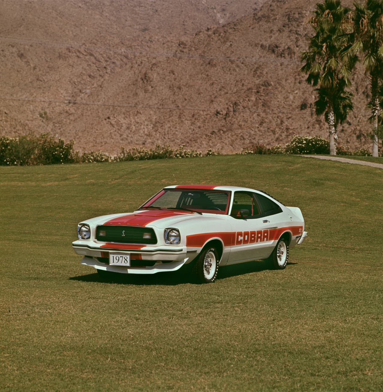 El
<b> Ford Mustang II</b>, como fue conocida la segunda generación, hoy es detestada por la gran mayoría de los fanáticos del modelo. Sin embargo, nunca nadie va a poder negar que las enormes ventas del diminuto Mustang, hicieron posible la continuidad del Mustang hacía el futuro. El fracaso del Mustang II habría significado el final del Mustang.