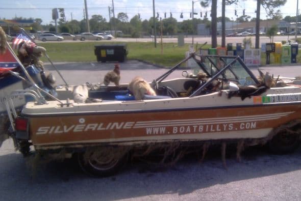 Cosas insólitas que solo se ven en Florida.