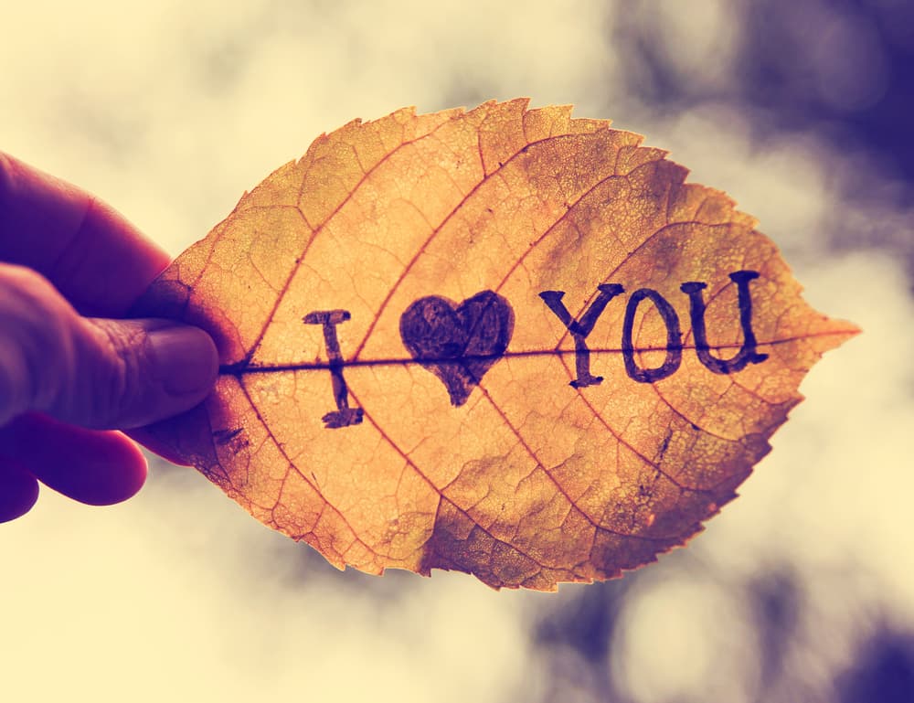 Pero algo tiene el otoño que es la temporada perfecta para el amor. ¿Es quizá el aire? ¿El ambiente nostálgico? ¿La remembranza de fin de año¨? Por supuesto, también podemos analizar las cuestiones astrológicas de por qué este noviembre y diciembre son ideales para Cupido.