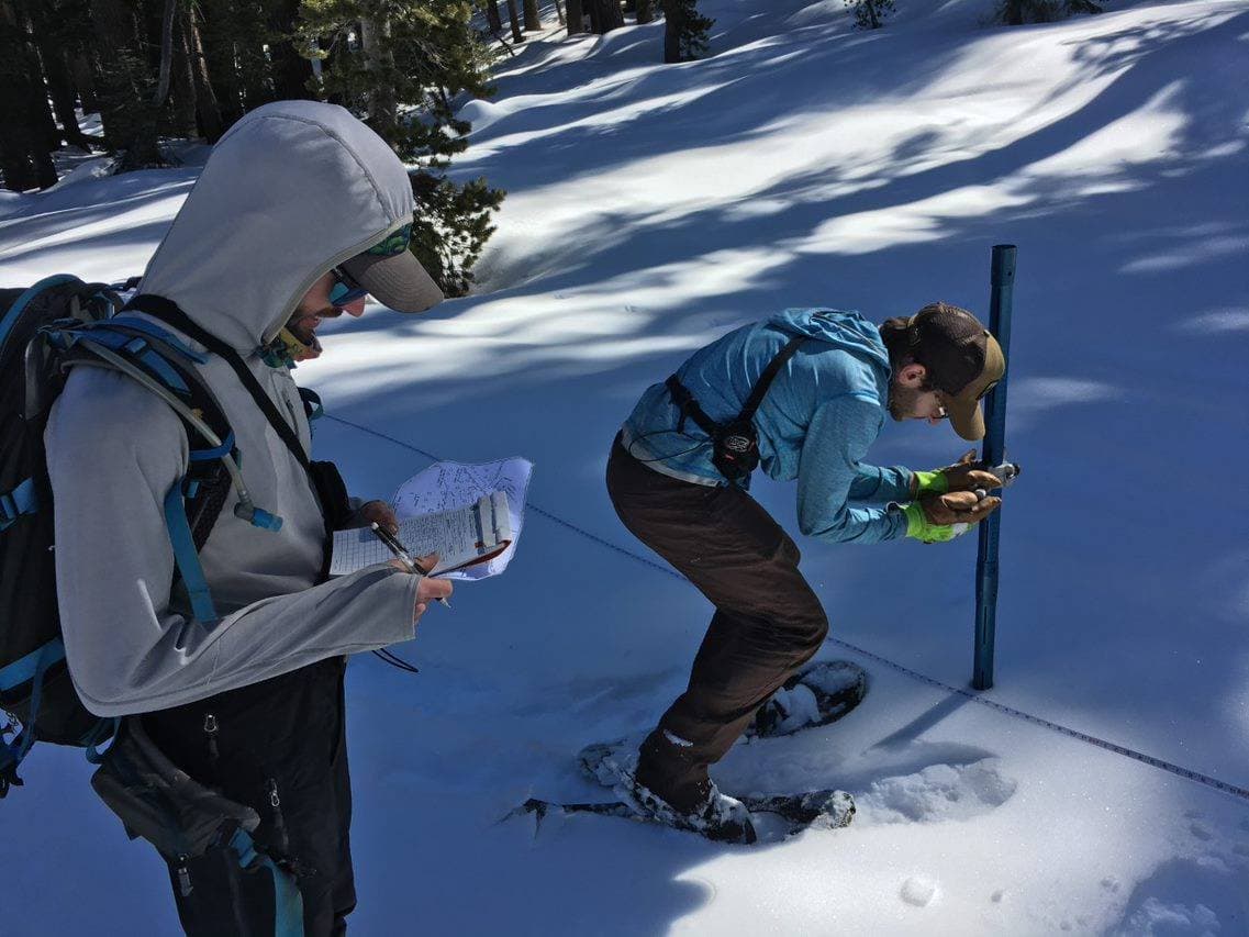 Medición de nieve en febrero pasado en el Parque Sequoia