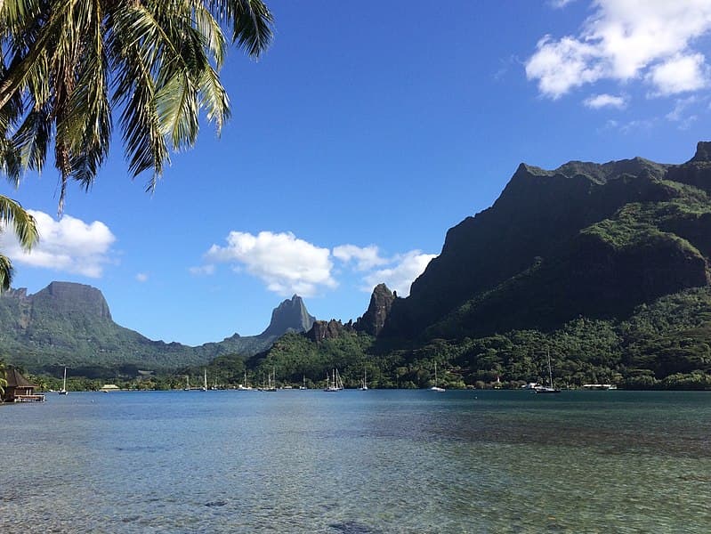 <b>Mororea</b> es una isla volcánica, la tercera más grande del archipiélago de la Polinesia Francesa. La isla se caracteriza por su grama de colores que cubre su selva, valles y montañas, así como la gama de azules que se pueden localizar en sus bahías. Su punto más alto es el Tohiea, un volcán inactivo con casi 4,000 pies de altura.
<br>
