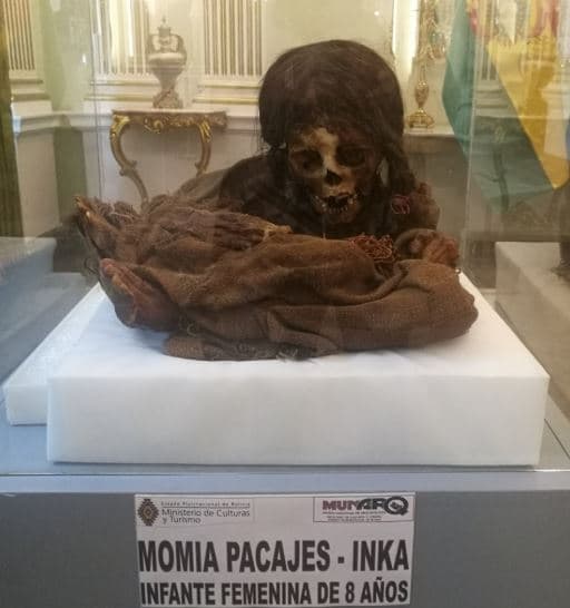 <b>Vuelta a casa.</b> Actalmente la momia de la pequeña 'Ñusta' está bajo el resgaurdo del 
<a href="http://www.minculturas.gob.bo/es/articulo/1351-culturas-recibe-momia-y-objetos-prehispnicos-repatriados-de-ee-uu-argentina-y-chile" target="_blank">Ministerio de Cultura de Bolivia</a>. Los restos fueron presentados durante un evento en el que los ministros bolivianos de Exteriores, Diego Pary, y de Culturas, Wilma Alanoca, 
<b>firmaron un acta de entrega de diversos bienes culturales recuperados procedentes de Estados Unidos, Argentina y Chile. </b>