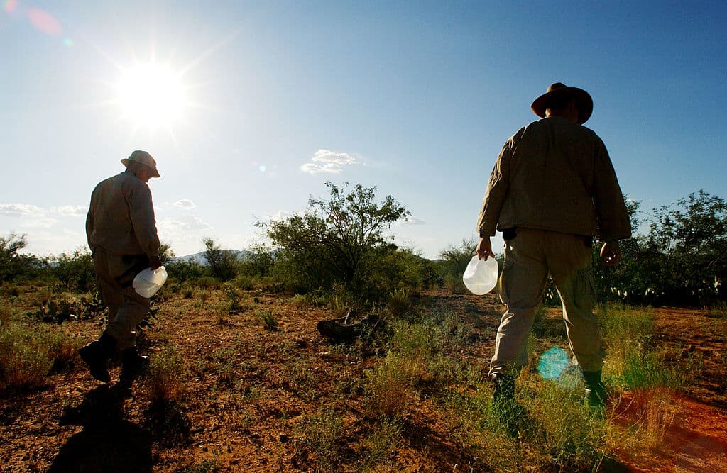 Muere un niño migrante de 9 años tras sufrir convulsiones por el calor extremo tras cruzar la frontera de México con Arizona