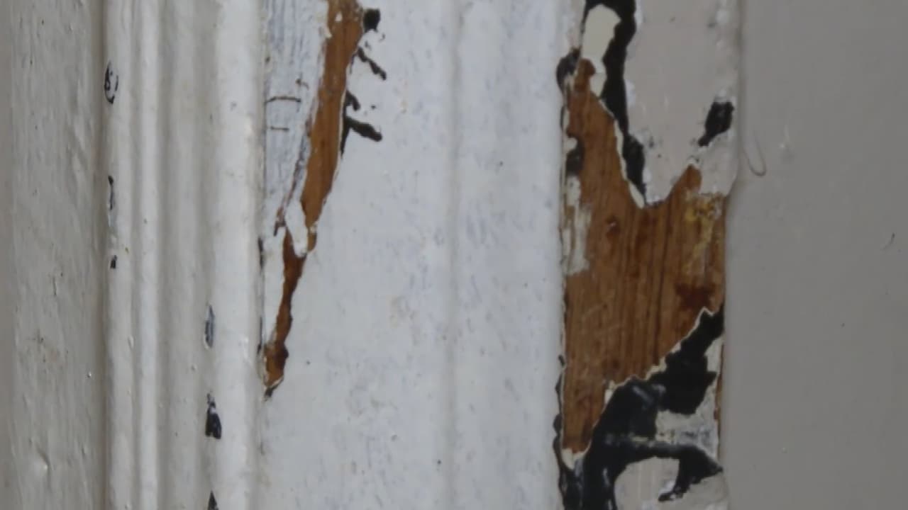 <b>Las paredes tienen huecos y desperfectos, lo que otorga caminos a los ratones y cucarachas</b>, dos plagas con las que tienen que lidiar los vecinos a diario. Una de ellas afirmó que limpia todos los días, pero no es suficiente.