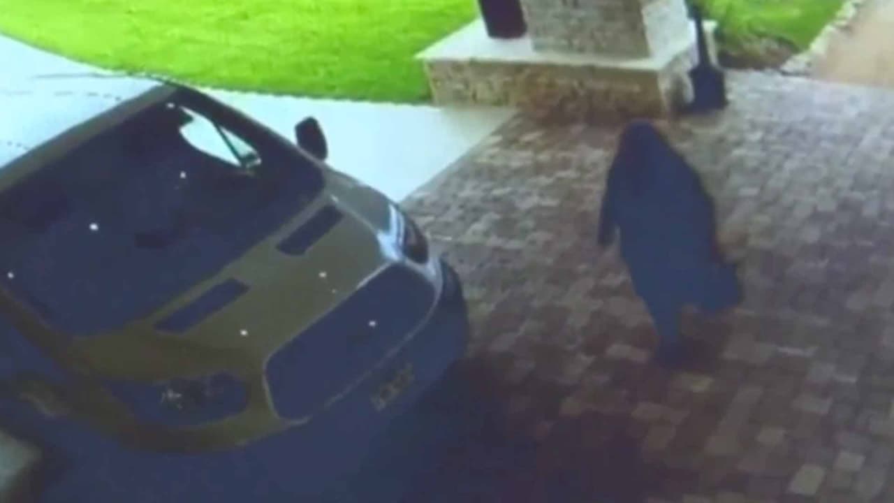 Y también se reciben informes a través de la página de internet de 
<a href="http://www.comalcrimestoppers.org/sitemenu.aspx?ID=427&" target="_blank">Crime Stoppers de Coma</a>l . 
<br>