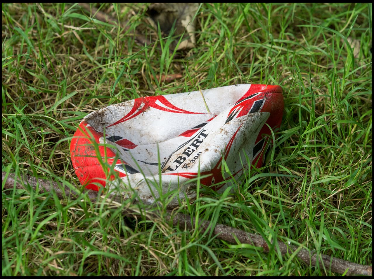 Sin embargo, el juego terminó cuando el travieso y fuerte león hincó los colmillos demasiado fuerte sobre el balón.