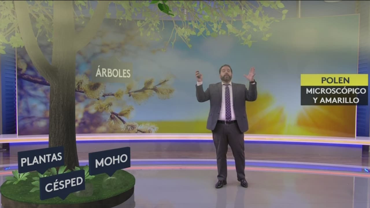 Por cierto, si quieres saber más sobre cómo se genera el polen y cuáles son las ciudades más alérgicas del país, mira este reporte de Albert Martínez.