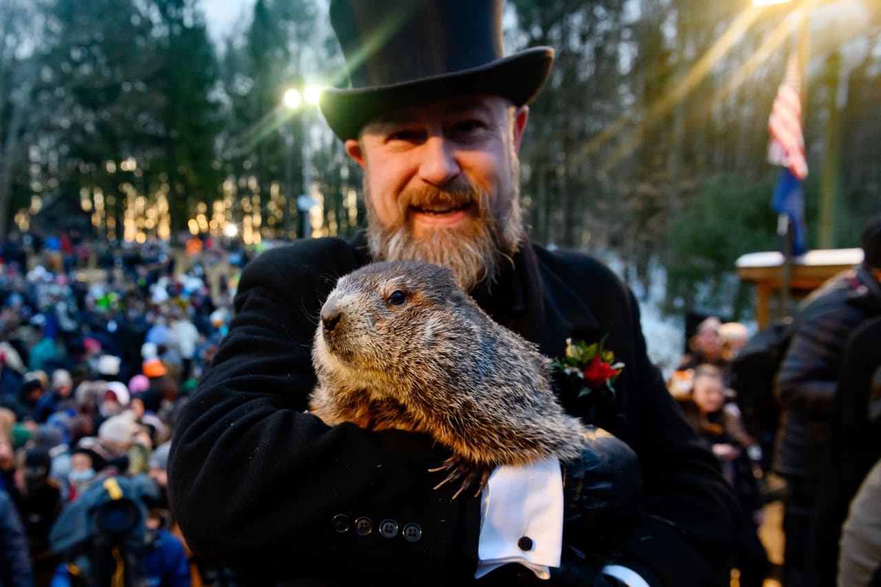 <b>Punxsutawney Phil es básicamente inmortal</b>, (eso dicen). Ha sido el mismo Punxsutawney Phil durante los 136 años de tradición, según el club. Eso es más de 15 veces más que el límite superior de la vida útil típica de una
<b>marmota</b>. Phil es una verdadera marmota vieja.