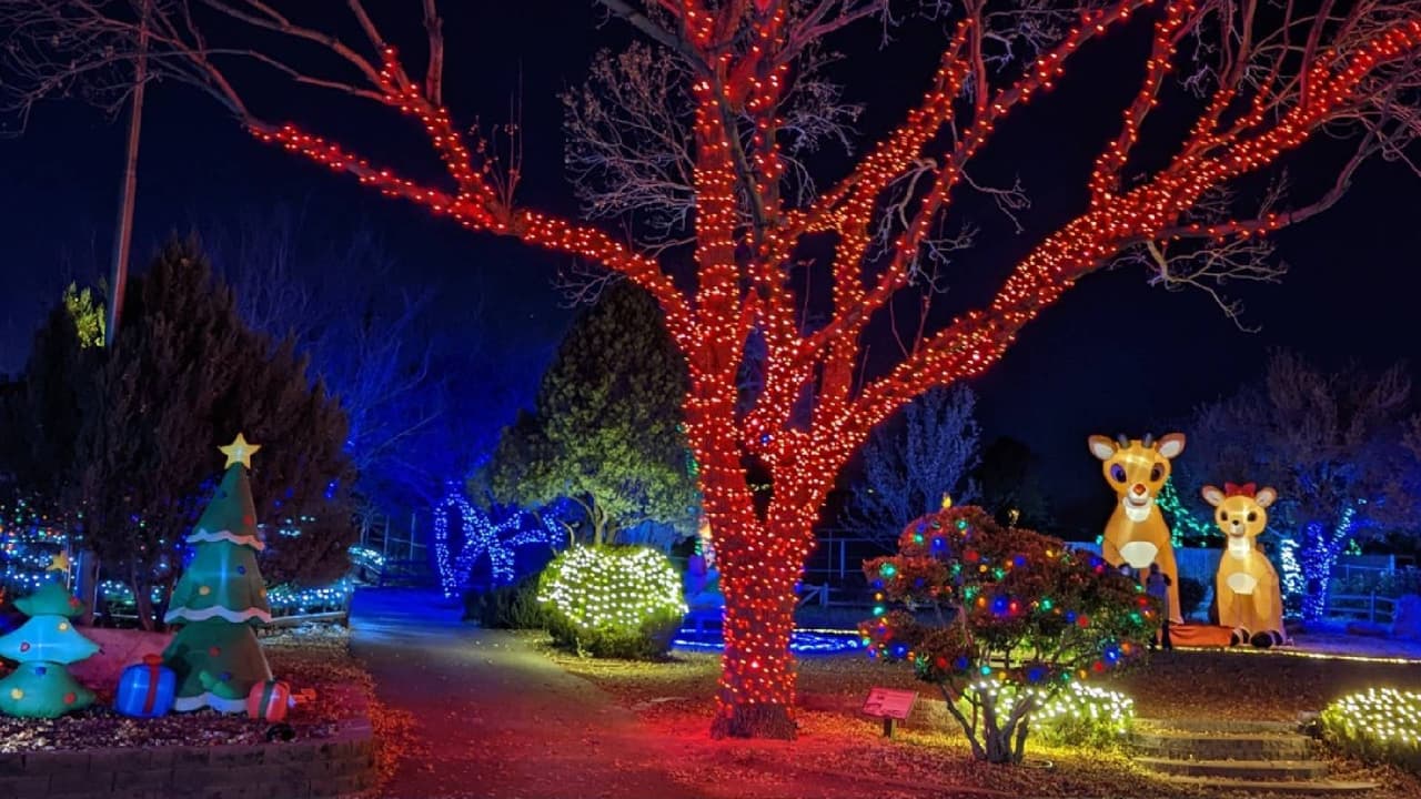 <b>WildLights and Animal Sights</b>
<br>Cuándo: 24 de noviembre al 30 de diciembre
<br>Dónde: 1403 Heritage Park Road, Prescott
<br>Costo: $12
<br>
<a href="https://www.heritageparkzoo.org/index.php/events/wildlights-and-holiday-events" target="_blank">Más detalles en este enlace.</a>
