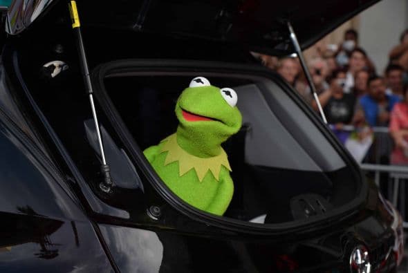 Los famosos títeres llegaron al Capital Theatre durante la premier de su más reciente película y sus fieles fanáticos se apoderaron del boulevard de las estrellas en Hollywood. Muppets Most Wanted es una comedia musical escrita por Bobin y Nicholas Stoller y continúa la saga de 2011 ‘The Muppets’. Esta vez, la rana Kermit y sus amigos se verán envueltos involuntariamente en un crimen internacional, mientras se encontraban de gira por Europa.