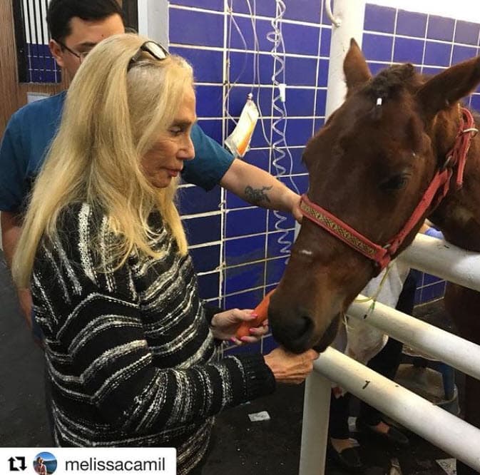 La actriz de 'Teresa' recuerda haber tenido una infancia bonita junto a su madre y su padrastro, donde los viajes y diversas mascotas no faltaron. Además, Tony Starr le dejó como enseñanza la empatía con los demás: "Nos llevaba a La Raza (en la Ciudad de México), al hospital. Ella era voluntaria en el piso donde estaban los niños con cáncer. Yo tendría 12 años y me ponía a trabajar y a agarrarle las manitas. Me acercó a cosas hermosas que me cambiaron mucho la vida".
<br>