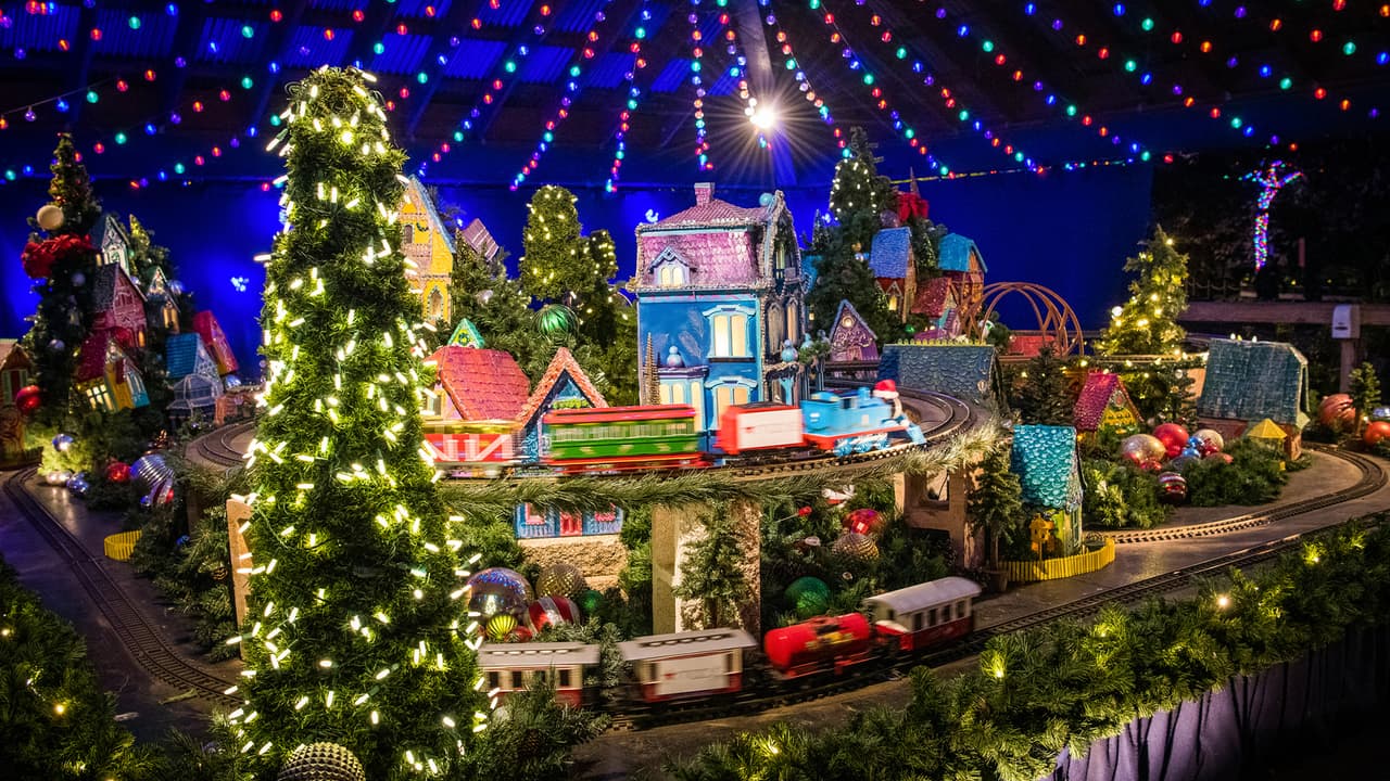 Debido a que el 2020 ha sido un año atípico por la pandemia del
<a href="https://www.univision.com/temas/coronavirus">coronavirus</a>, en esta ocasión los boletos serán programados para que no existan aglomeraciones de personas y se respete la distancia social.