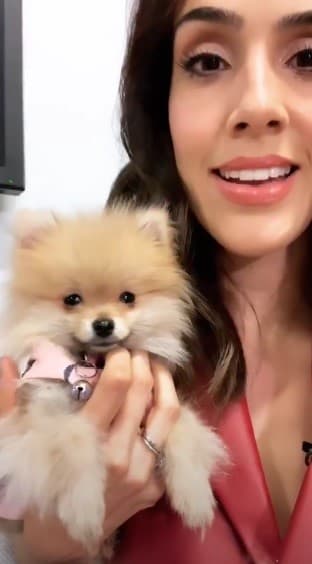 Antes de entrar al aire en Despierta América, señaló en su cuenta personal de Instagram que Bombom le robó el corazón: "¿Habían visto algo más precioso que esto?, 'oh my God' estoy completamente enamorada, pérdida".