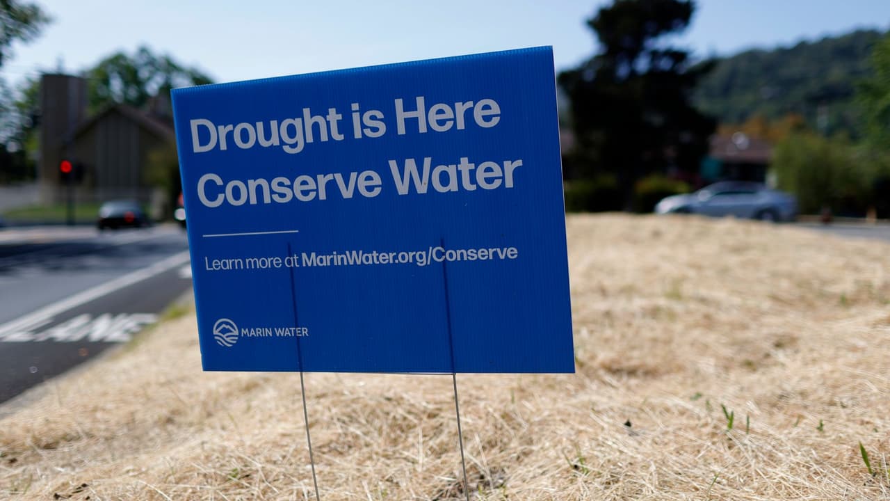 Las alternativas para las residencias es cambiar a pasto artificial en jardines y patios como alternativa de ahorro de agua. Sin embargo, el césped artificial no será una opción viable para todos.