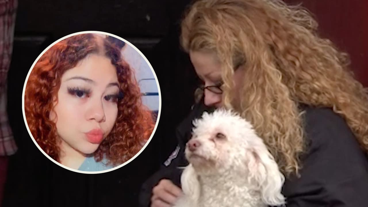 <b><a href="https://www.univision.com/local/houston-kxln/tiroteo-asesinato-diamond-alvarez-muertes-menores-de-edad-houston-texas">Diamond Álvarez,</a></b> de 15 años, fue acribillada a balazos cuando caminaba a su perro el martes por la noche. "Le dispararon por la espalda", dijo su madre, Anna Machado, quien además asegura que la zona es tranquila y que no era la primera vez que su hija salía de noche.