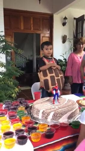 Fernanda Barrera, tía del menor, reveló que su sobrino fue muy insistente en la temática: "Cuando nos dijo que quería su fiesta de pan nos pareció muy gracioso. No creímos que fuera cierto, pero mantuvo muy firme su idea hasta el día de la fiesta y fue así como se la organizamos", reveló al periódico 
<a href="http://www.eluniversal.com.mx/estados/ricardo-fue-firme-hasta-el-final-queria-su-fiesta-de-conchas">El Universal</a>.
<br>