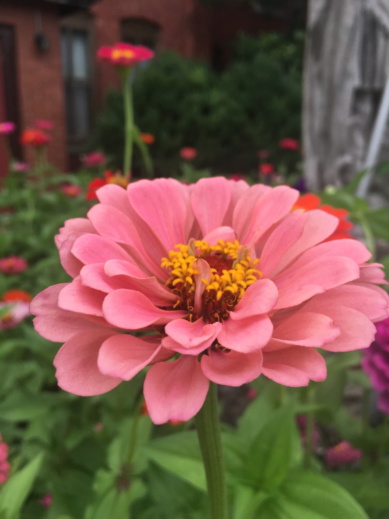 ¡Gracias por tanto, Mamá! 
<br>