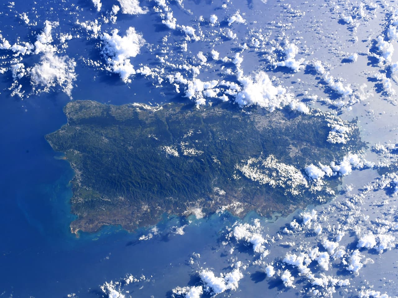 En agosto de 2019 Koch publicó esta fotografía de Puerto Rico. Según un reporte de la agencia AP, la larga estancia de Koch en el espacio dio a los investigadores la oportunidad de observar los efectos del tiempo en el espacio en una mujer, parte de los preparativos para la exploración humana de Marte y el programa Artemis, con el que la NASA planea regresar a la Luna.