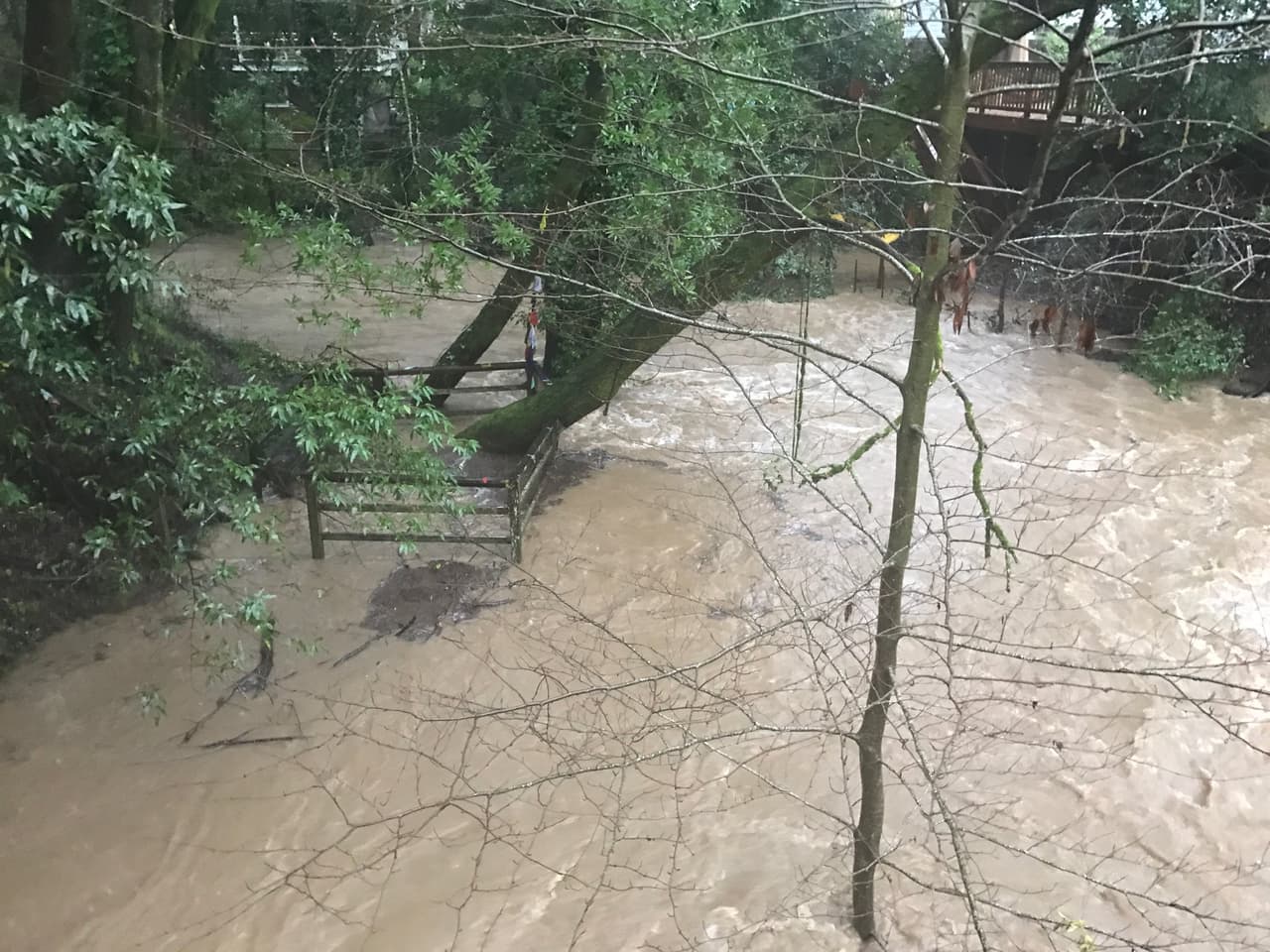 Estas imágenes fueron publicadas por autoridades del condado Marin sobre las inundaciones en donde se conectan Fairfax Creek y San Anselmo Creek, atrás de la avenida Dominga.