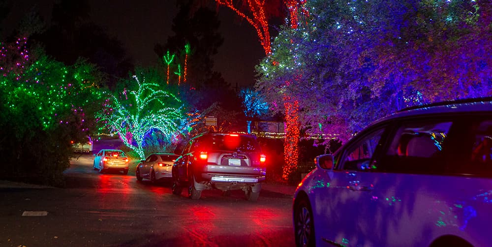 Los boletos se pueden usar en cualquier momento a partir de las 5:30 pm, pero debe estar en línea para las 9:30 pm.
<br>