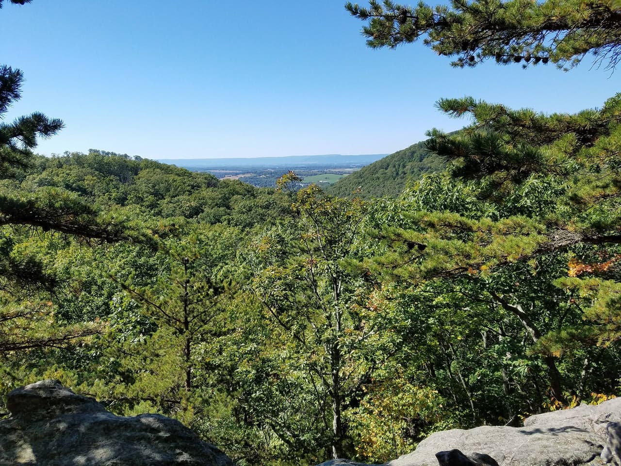 La Commonwealth de Pensilvania compró las tierras del parque y el horno, que se convirtieron en parte del Bosque Estatal de Michaux. Mont Alto se convirtió en el primer parque forestal estatal de Pensilvania en 1902, más tarde fue rebautizado como Parque Estatal de Mont Alto.