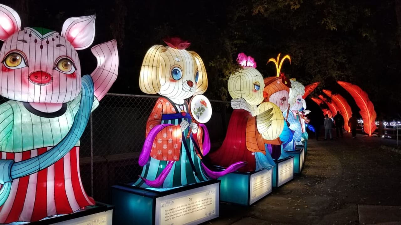 Illumi Nature es un espectáculo que puede disfrutrar toda la familia.