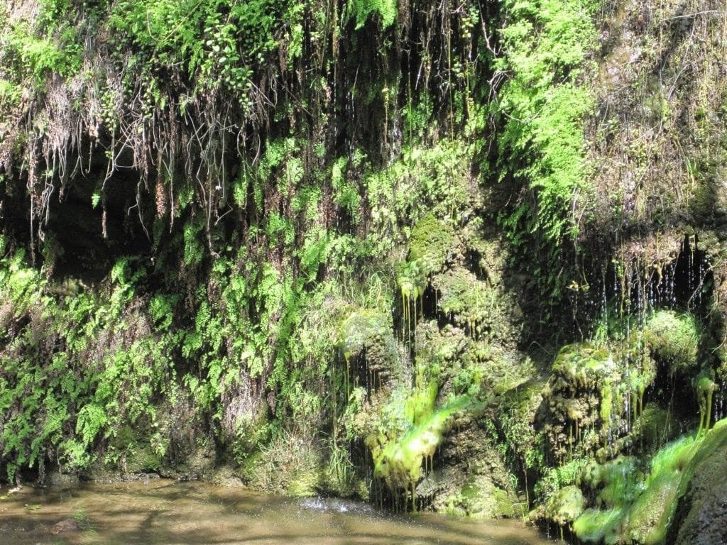 Cuando estas cataratas fluyen con fuerza, se convierten en una de las mejores de Los Ángeles. Escondido Falls ofrece dos niveles para sus visitantes. El nivel de la parte inferior es fácil de alcanzar por lo cual constituye un buen recorrido para principiantes. Pero si consideras que eres más experto, la cascada ofrece también un nivel superior un poco más difícil de alcanzar que mide 150 pies de alto y proporciona un hermoso paisaje.
<br>