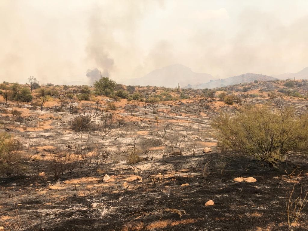 <a href="https://www.univision.com/local/arizona-ktvw/aviso-por-calor-excesivo-en-gran-parte-de-arizona-y-preven-lluvias-monzonicas-por-la-tarde">Se prevén temperaturas sumamente altas en el valle</a> mientras arde el incendio Salt en la región. Tome sus precauciones y manténgase bien hidratado por el mercurio podría llegar hasta los 118°F en Arizona. 
<br>