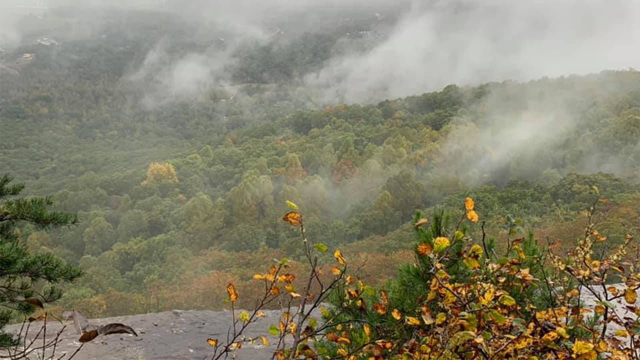 La mujer estaba en compañía de su hijo y su esposo cuando tropezó y cayó al vacío.