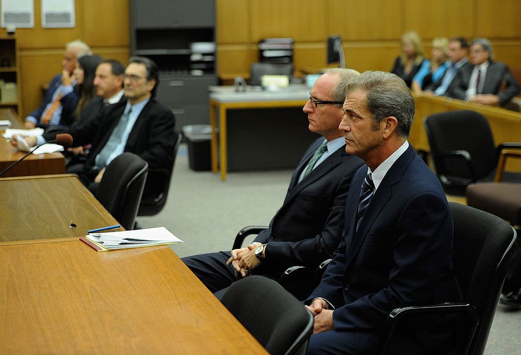 Mel Gibson y Robyn Moore – Tras 30 años casados, Mel y Robyn decidieron terminar con su matrimonio en 2011, por lo que Mel tuvo que dividir su fortuna.