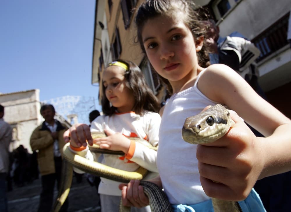 En esta pequeña población, de menos de 300 habitantes y situada en el este Roma, cada 1 de Mayo celebran este festival de 'serpari' (cazadores de serpientes) que, según la tradición, recuerda que San Doménico libró las calles de las serpientes en el siglo XI. 
<br>