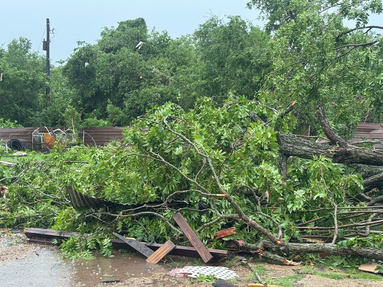 Las autoridades confirmaron que, de momento, 
<b>no se han registrado heridos ni muertos</b>.