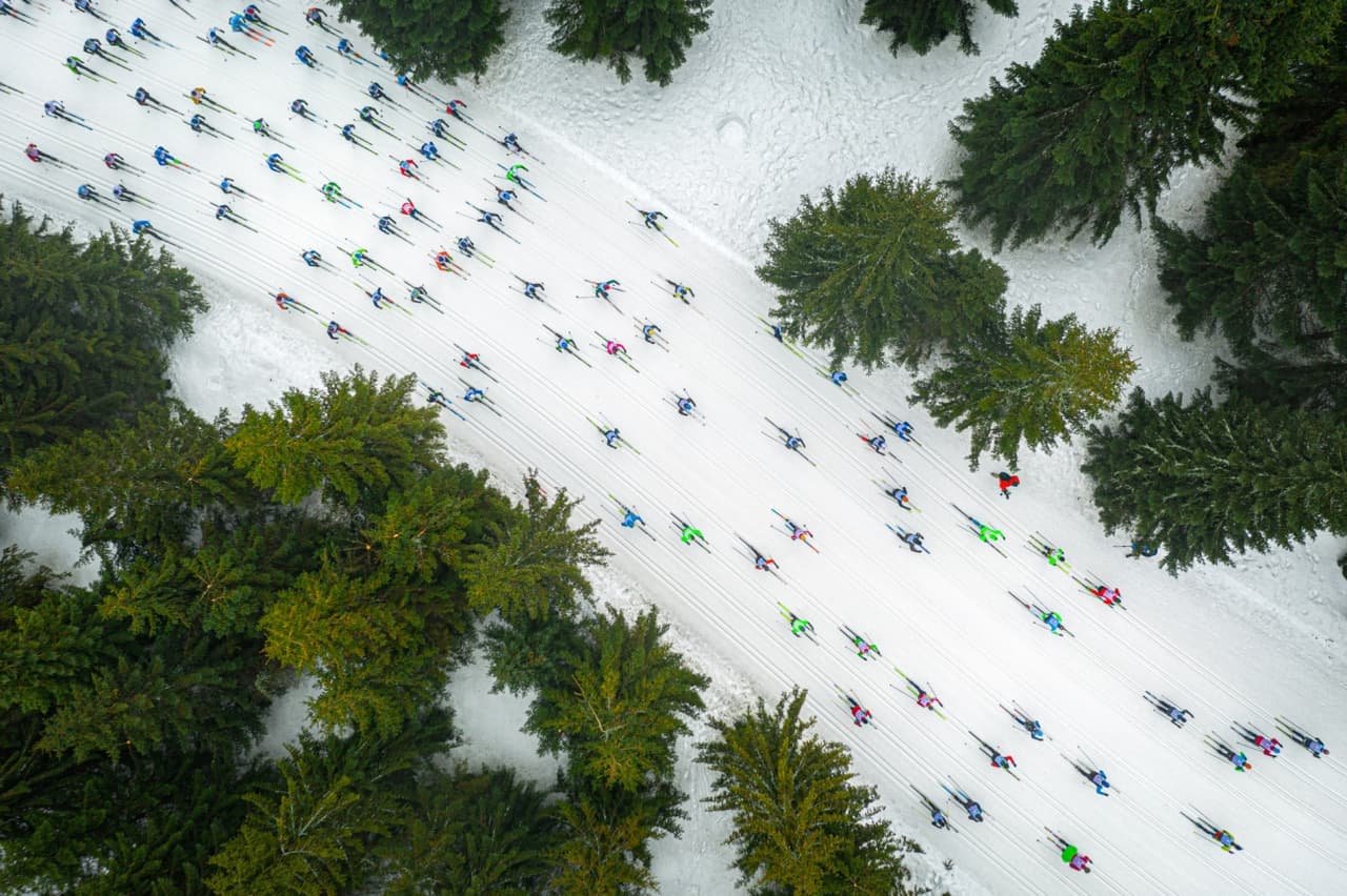 'Un banco de peces de colores' es el nombre esta fotografía que ganó el reconocimiento a la 
<a href="https://droneawards.photo/gallery2019/" target="_blank">Imagen del Año</a> en la edición 2019 del Drone Awards.