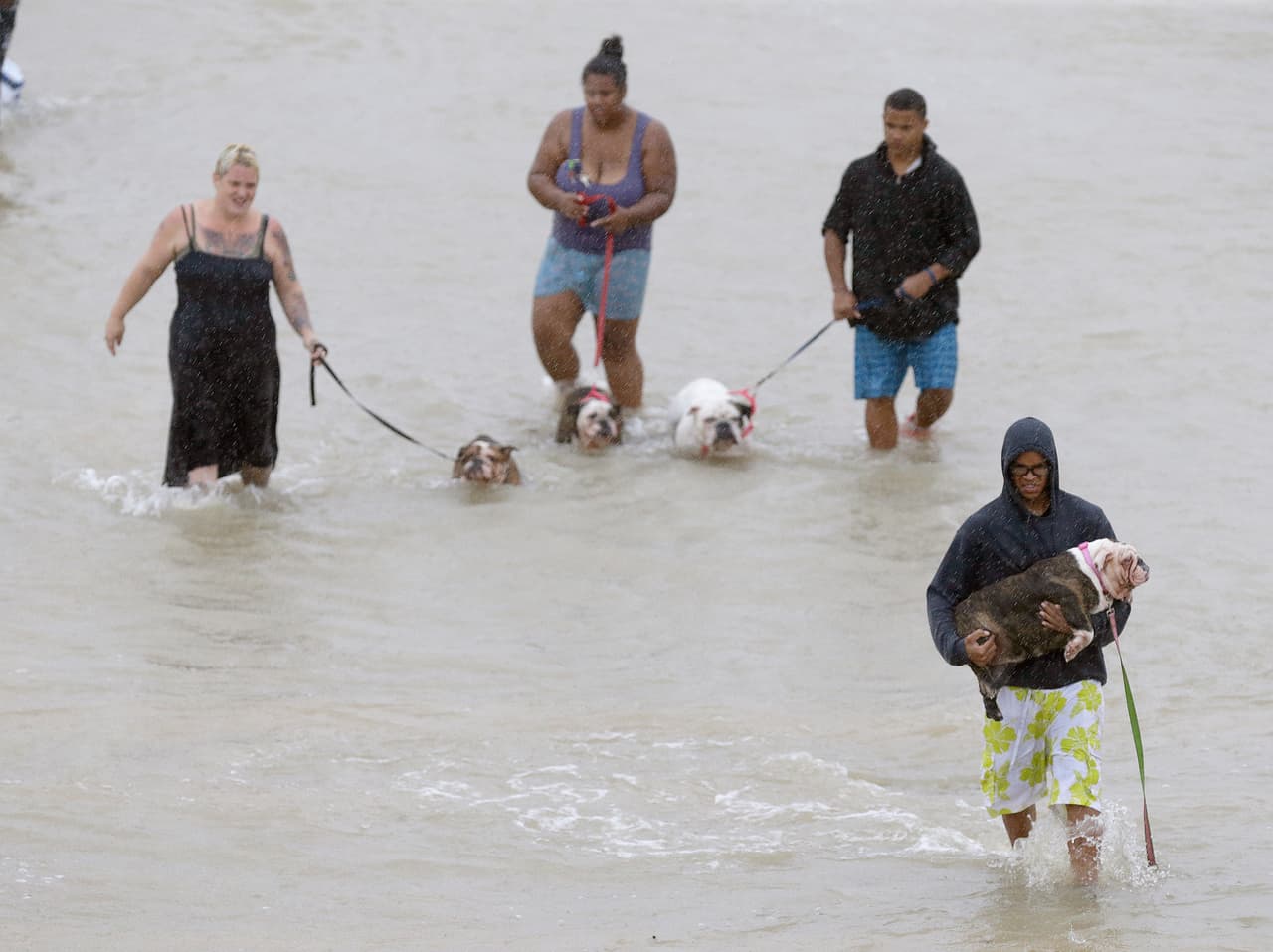 Varios afectados se escapan de la inundación, caminando por la autopista Sam Houston junto a sus perros.
<br>