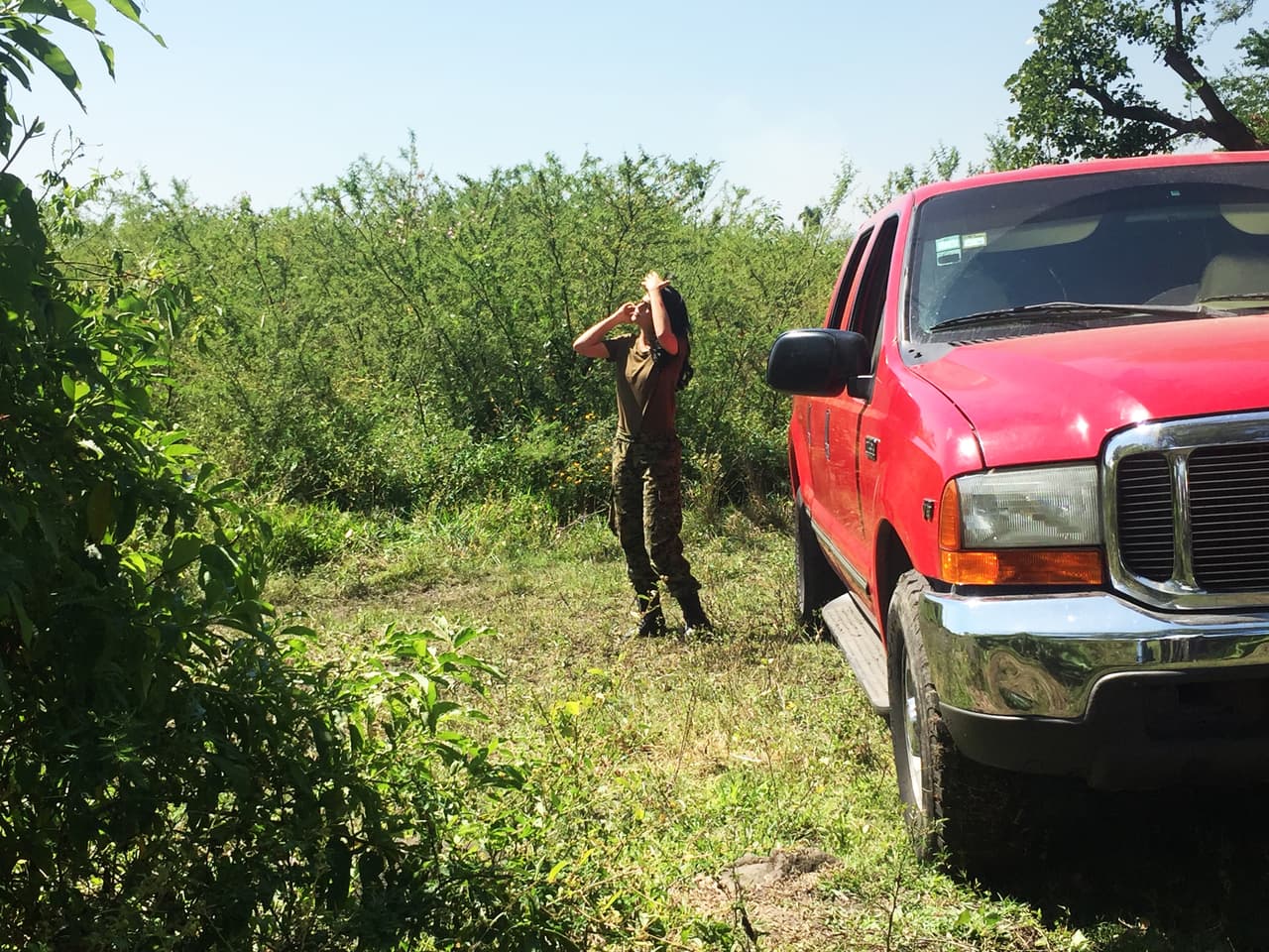 <b><a href="http://www.univision.com/temas/livia-brito">Livia Brito</a></b> y la producción de 
<b><a href="http://www.univision.com/series/la-piloto">'La piloto'</a></b> presentaron una escena cargada de adrenalida y nerviosismo. El personaje de la actriz cubana, 
<b><a href="http://www.univision.com/series/la-piloto/livia-brito-es-yolanda-en-la-piloto">Yolanda Cadena</a></b>, arriesgó su vida para escapar de su secuestro por el ejército colombiano.