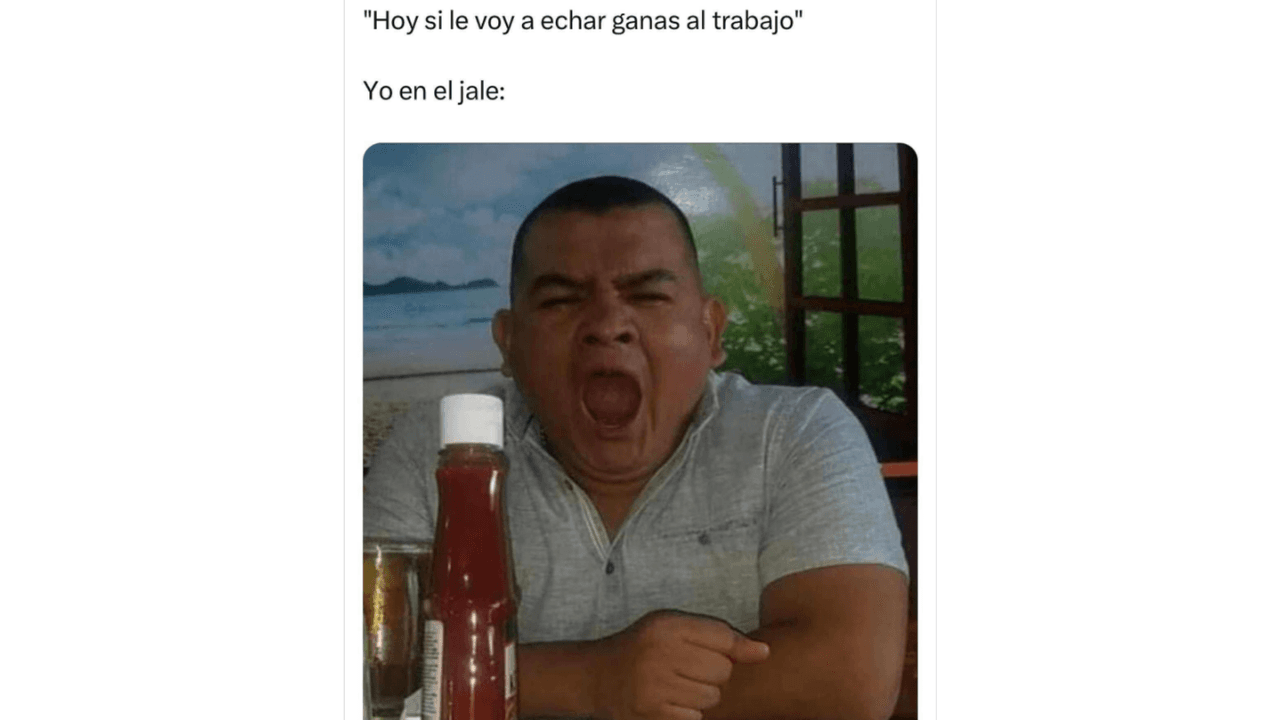 Memes para sobrevivir al lunes