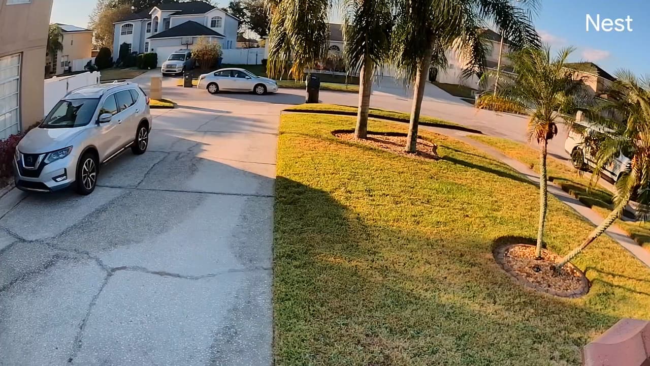 Los agentes respondieron a una llamada en Dexwell Court, en la que una mujer decía que su hijo se comportaba violentamente.