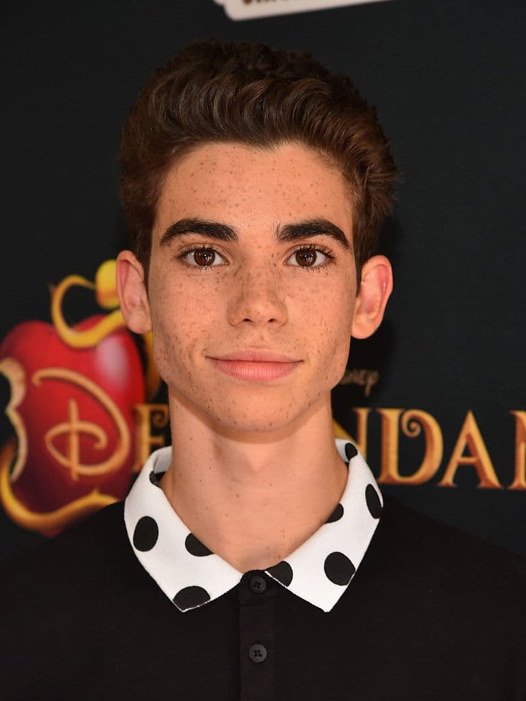 El actor, quien cobró fama gracias a la saga 'Descendants' murió el sábado 6 de julio a los 20 años tras "una muerte repentina e 
<b><a href="https://www.univision.com/famosos/forense-de-los-angeles-revela-causa-de-la-muerte-del-actor-cameron-boyce" target="_blank">inesperada por epilepsia</a></b>", según el Departamento de Medicina Forense del Condado de Los Ángeles. 
<br>
