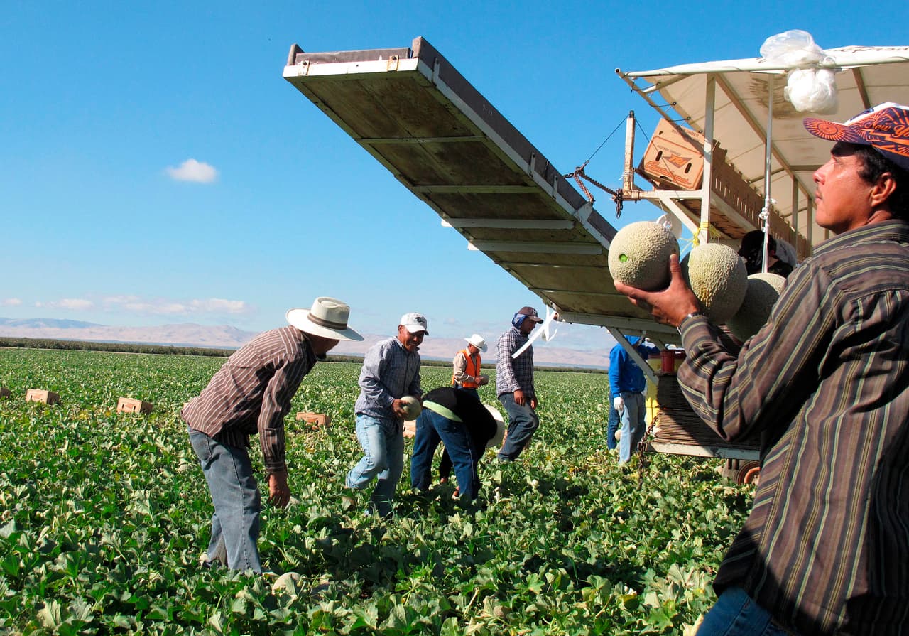 Estos son tus derechos si trabajas al aire libre en California durante la temporada de calor