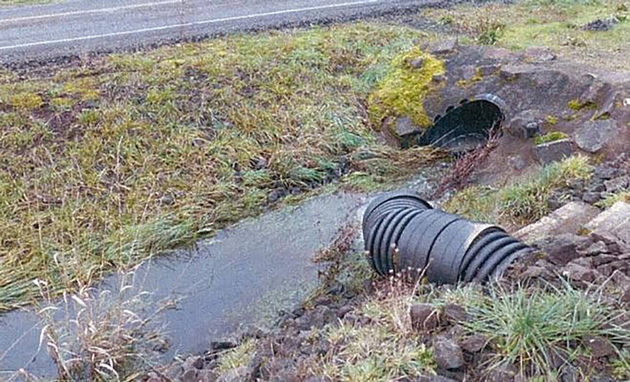 <b>Puesto 8. Planta de tratamiento de madera Taylor, en Sheridan, Ohio.</b> 
<b>71.8 puntos en el sistema de clasificación de peligros. </b>Ubicada a unas 58 millas al suroeste de Portland, la ciudad más grande de Oregón, esta planta operó desde 1946 hasta 2001. Durante ese tiempo productos químicos de tratamiento de la madera como la creosota y el pentaclorofenol contaminaron las aguas subterráneas y el suelo. La zona fue agregada a la lista de prioridades de la EPA en 2001. Tres años después comenzó la limpieza y se construyó un muro para contener el agua subterránea afectada.