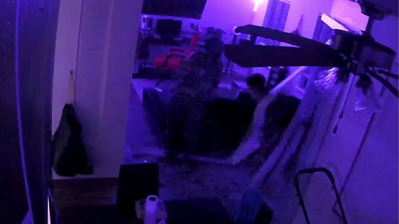 Arrestan a una mujer como quinta sospechosa por violenta invasión de vivienda en el condado de Gwinnett