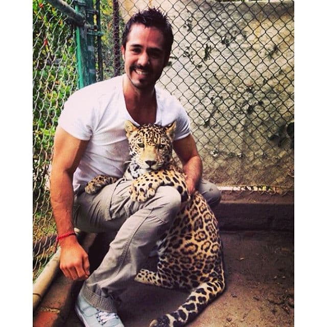 Pero los felinos también le encantan a este galán de telenovelas.