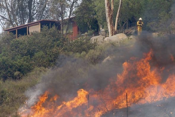 De acuerdo con el Departamento de Policía de Escondido, dos arrestos se han efectuado en relación al caso. Isaiah Silva de 19 años y un menos de 17 fueron arrestados ayer después de las 7:25 de la noche