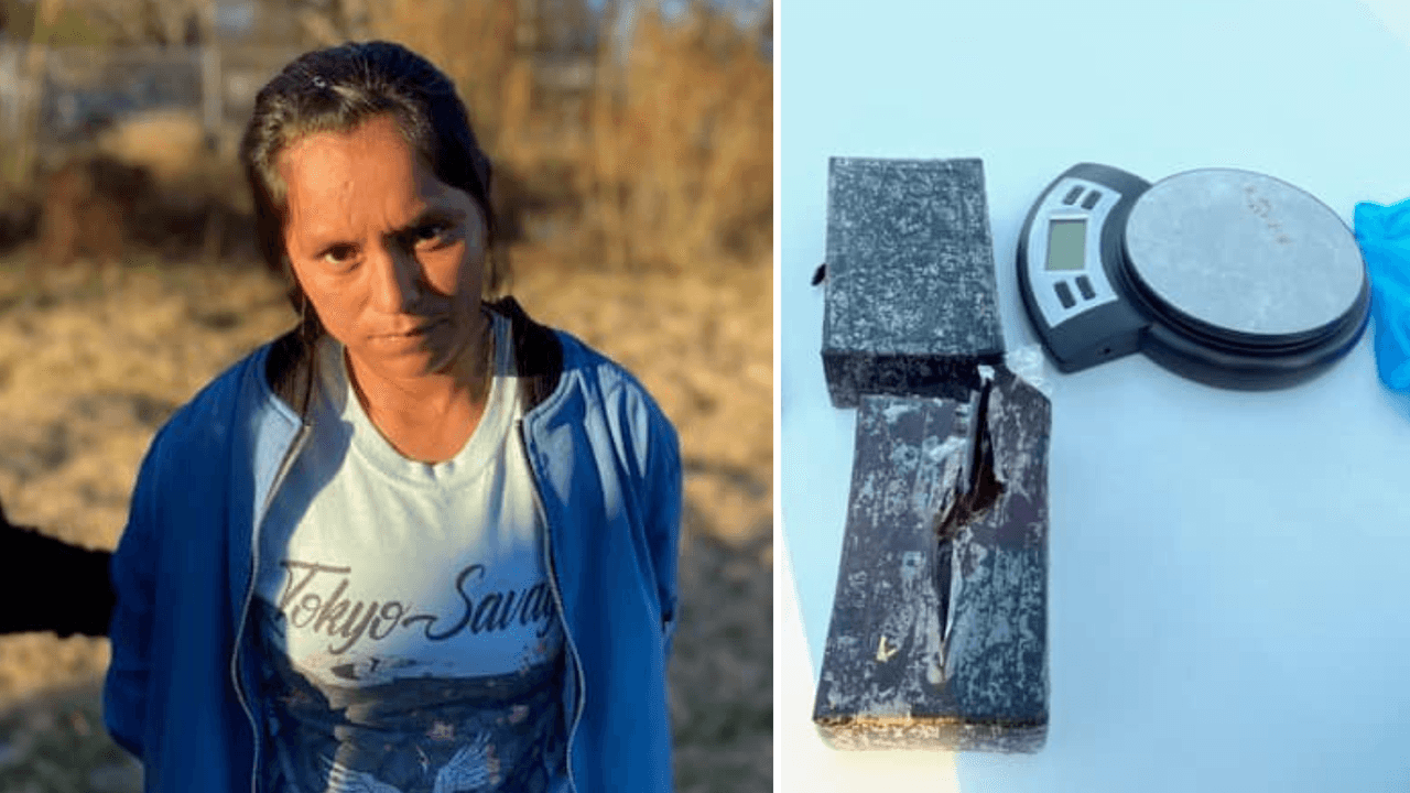 Una sospechosa confiesa traer pañales con heroína y fentanilo dentro de su brasier desde Houston, dice demanda federal