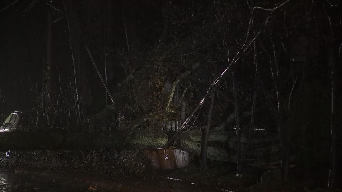 Daños causados por lluvias en el área metropolitana de Atlanta.