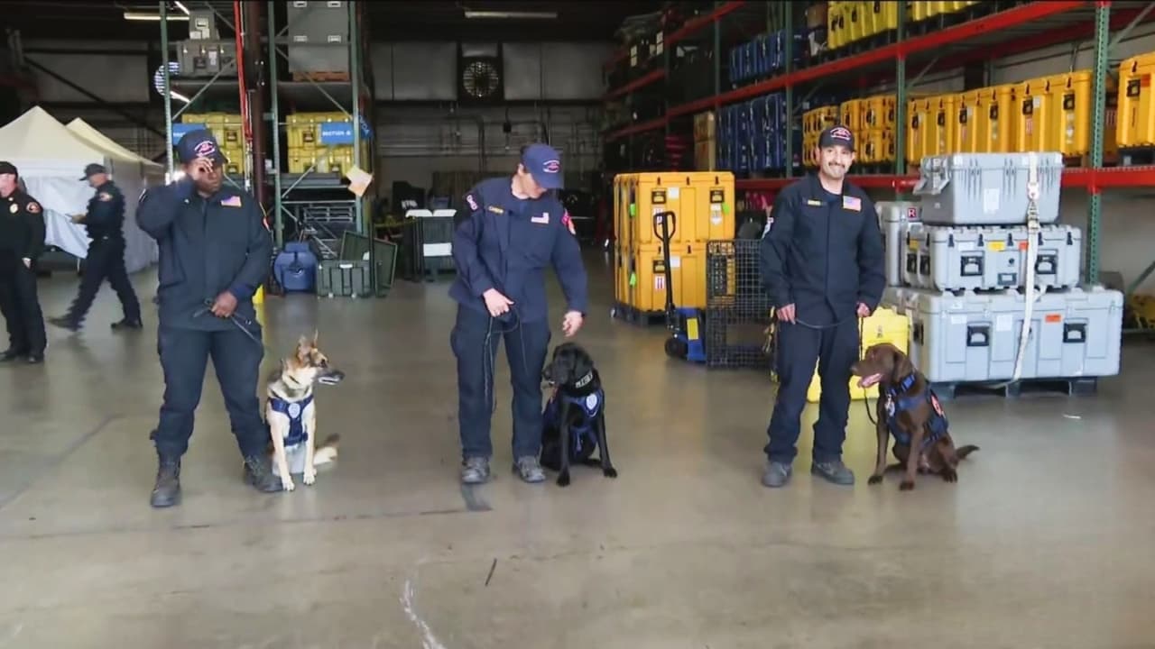Bomberos de Los Ángeles despliegan equipo de búsqueda y rescate con caninos por sismos en Venezuela